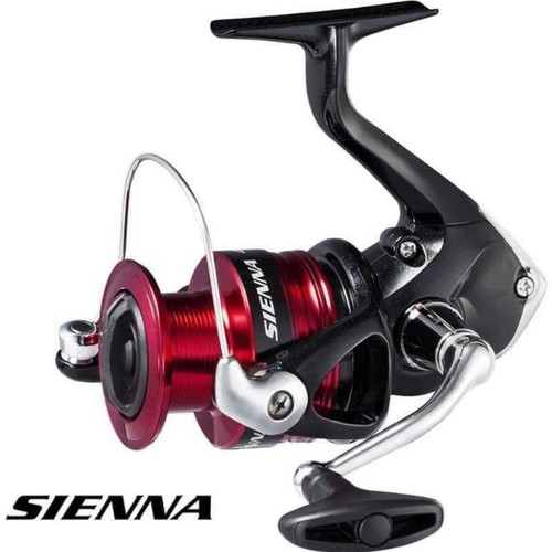 Máy câu đứng shimano sienna năm 2019