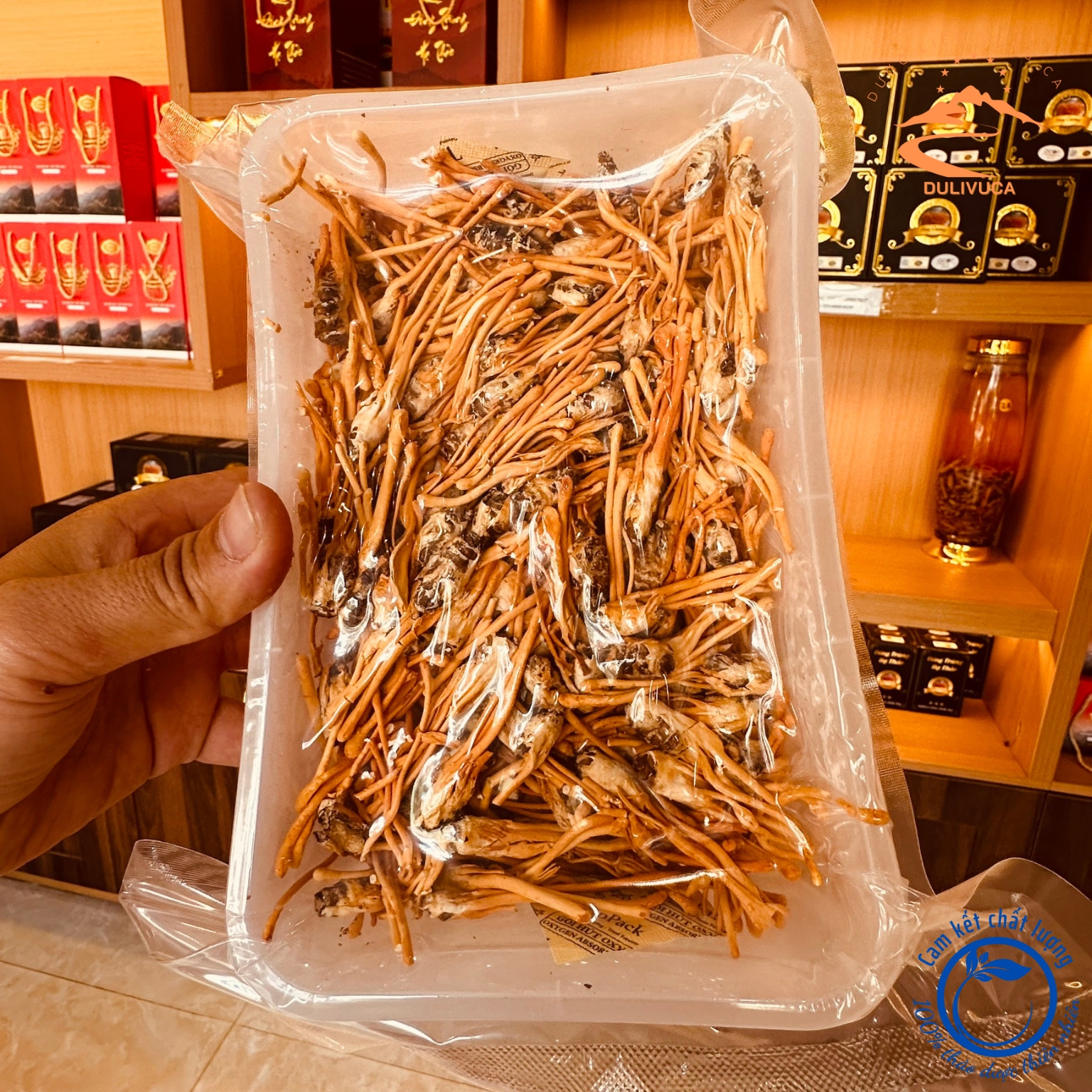 Đông trùng hạ thảo loại nguyên con 100g sấy khô thăng hoa, nấm đông trùng hạ thảo Huy Cương pha trà, ngâm rượu, mật ong