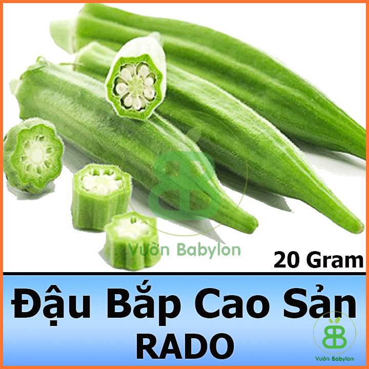 20Gr Hạt Giống Đậu Bắp Xanh Cao sản