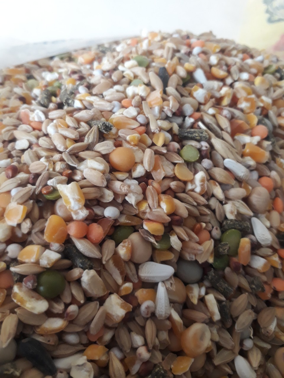 Ngũ cốc dinh dưỡng 22 loại hạt cho gà đá 35k/1kg.