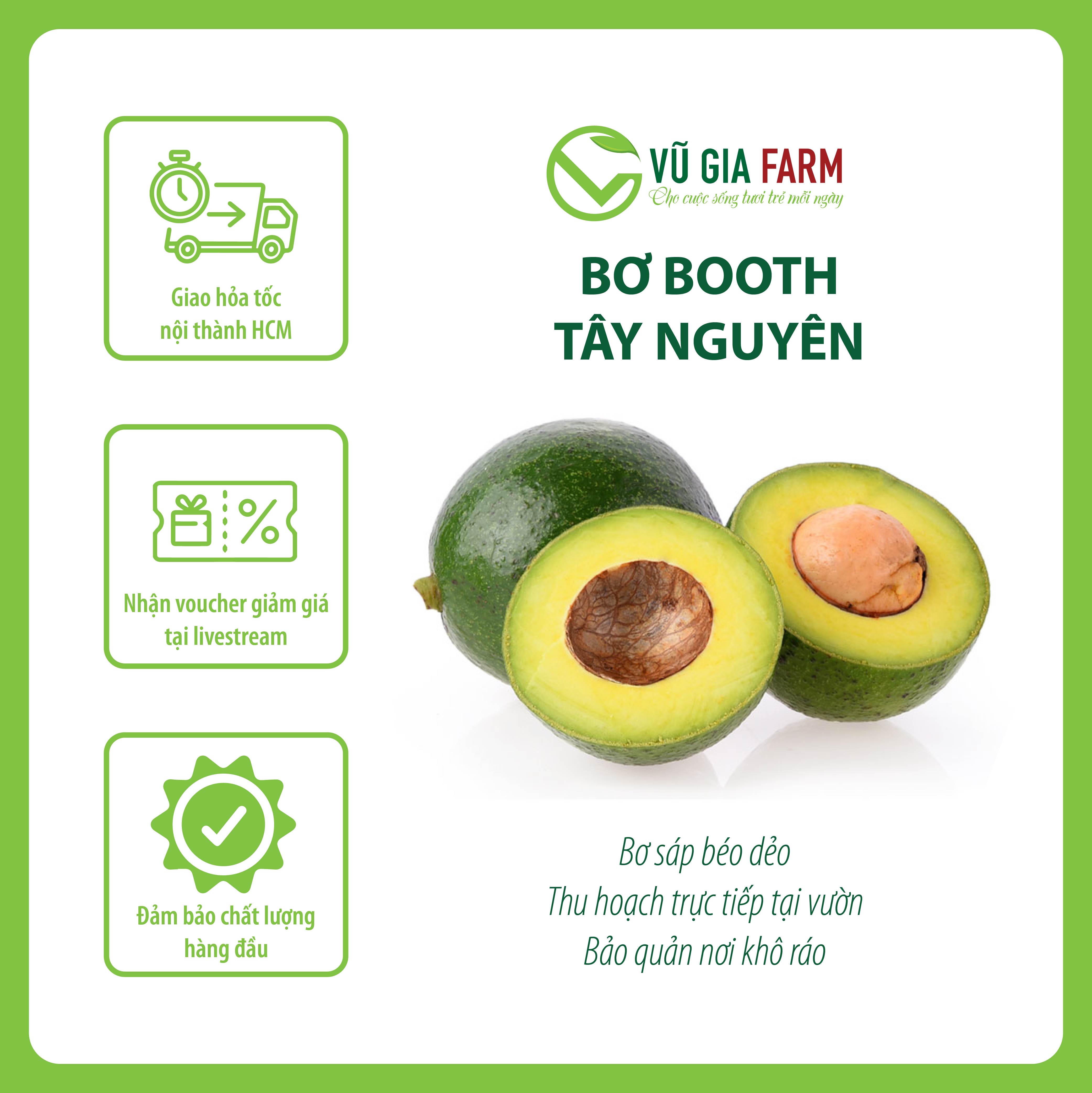 [HCM] COMBO 3 - 3.5KG  Bơ Booth/ Bơ 034/ Bơ TA21 Size 2-3-4 trái/kg Tây Nguyên Vũ Gia Farm - bơ sạch nhà trồng, thu hoạch trực tiếp tại vườn, cơm vàng sáp dẻo ngon lắm ạ
