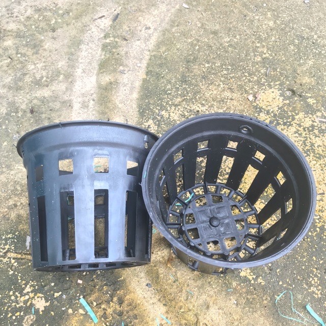 Combo 10 chậu nhựa trồng lan Phi 12cm