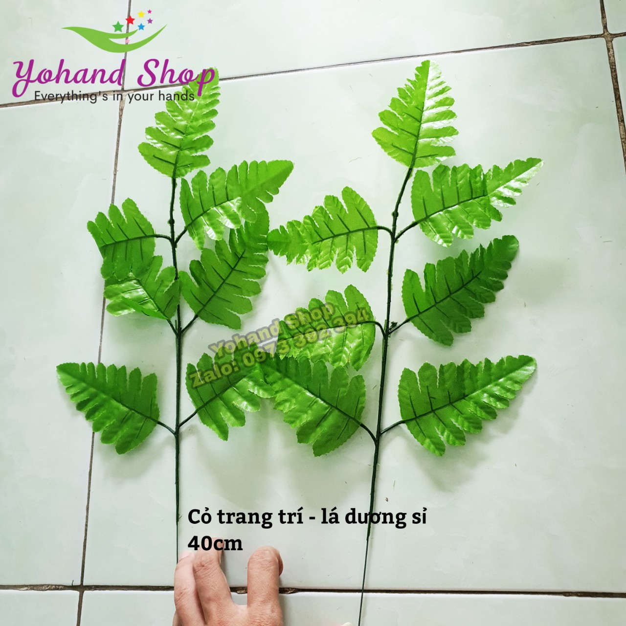 Lá dương sỉ cắm hoa
