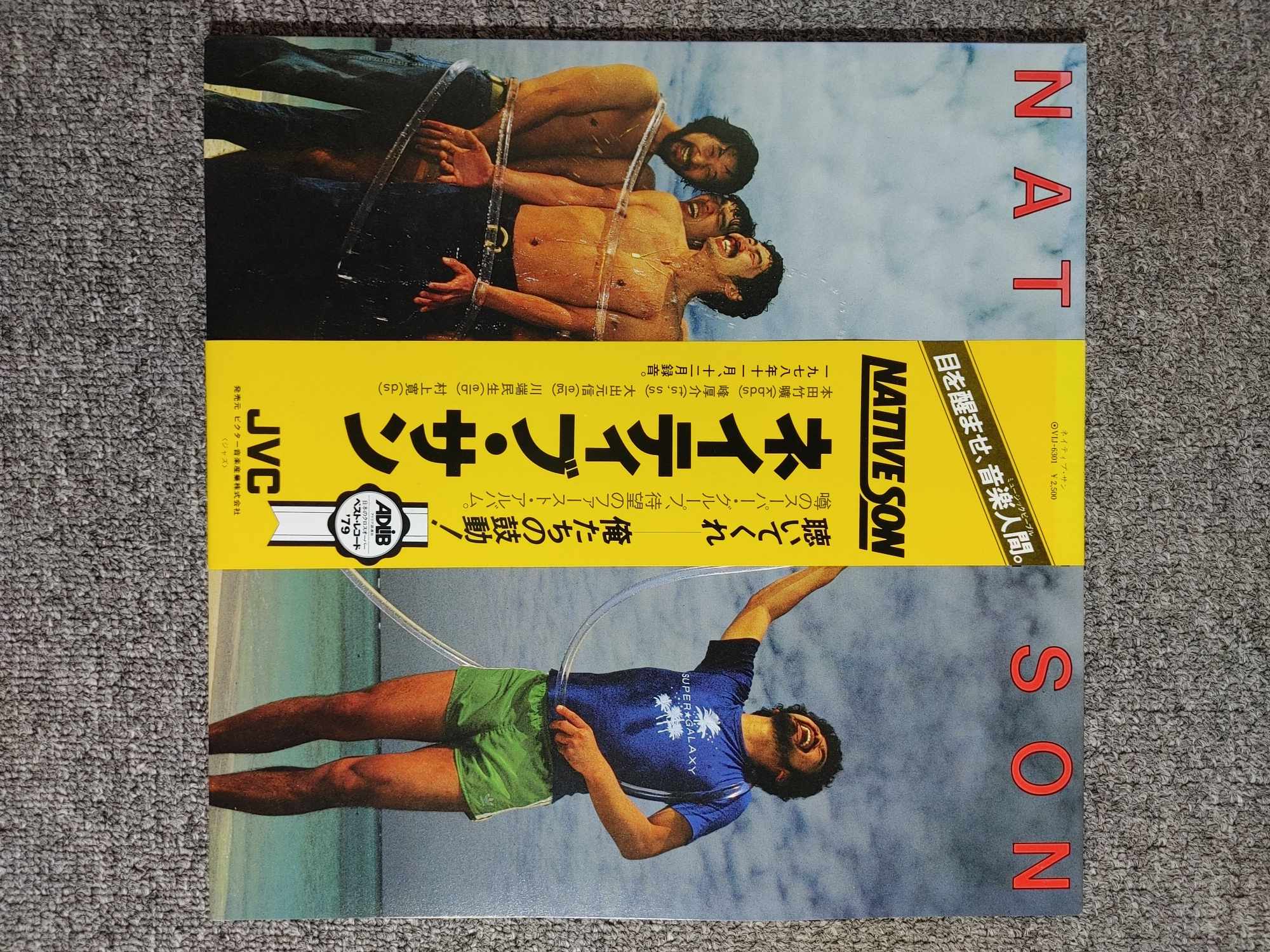 Đĩa than vinyl 12 inch Native Son
