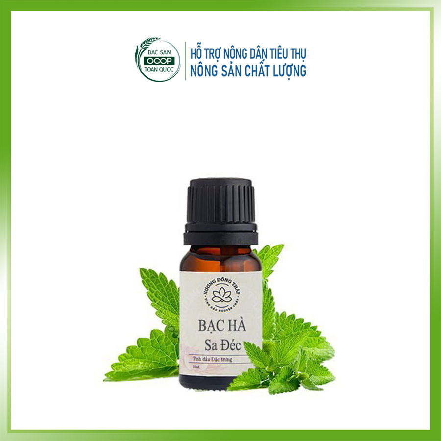 Tinh dầu bạc hà sa đéc