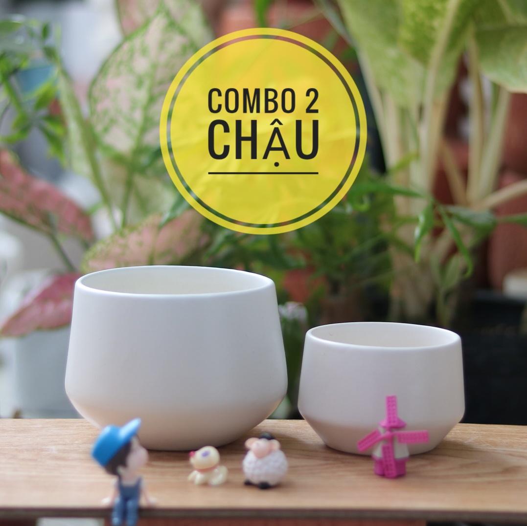 Chậu Sứ (2 CÁI) Trồng Cây Cảnh Mini Sen Đá Xương Rồng Hình Kim Cương Thấp