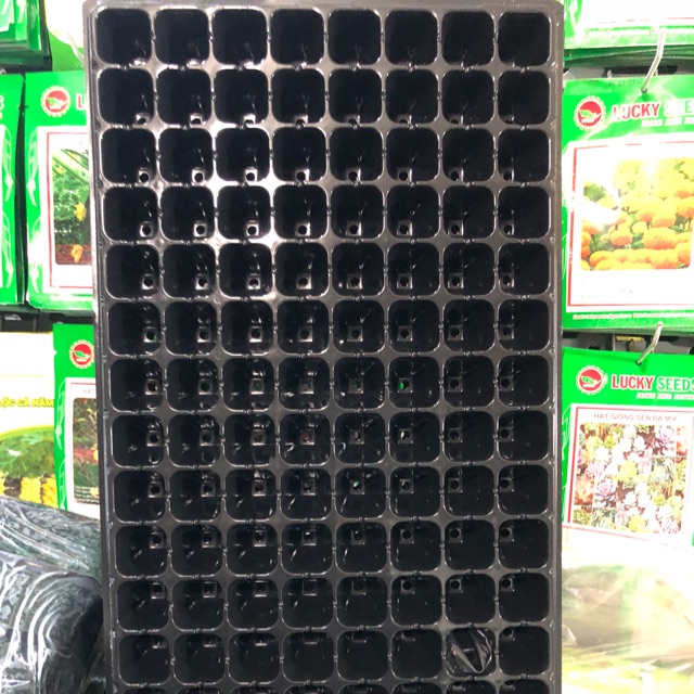 10 khay nhựa gieo ươm hạt giống