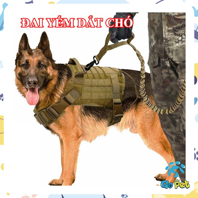 4 Màu đai yếm dắt chó chiến thuật thông khí yếm chó quân sự huấn luyện