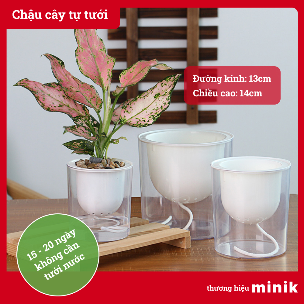 Chậu trồng cây để bàn tự dưỡng MINIK, trong suốt, có thể trồng đất hoặc trồng thủy canh, chậu cây thông minh giúp cây phát triển tốt mà không cần tưới, nhựa PP tiêu chuẩn Châu Âu, size 13cm x14cm
