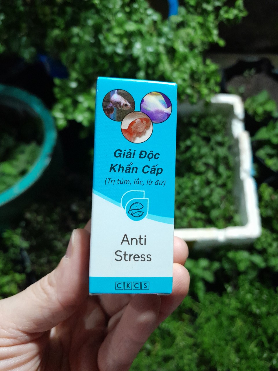 Anti Stress giải độc khẩn cấp phù hợp cho cá, ốc, tôm tép nước ngọt, nước mặn