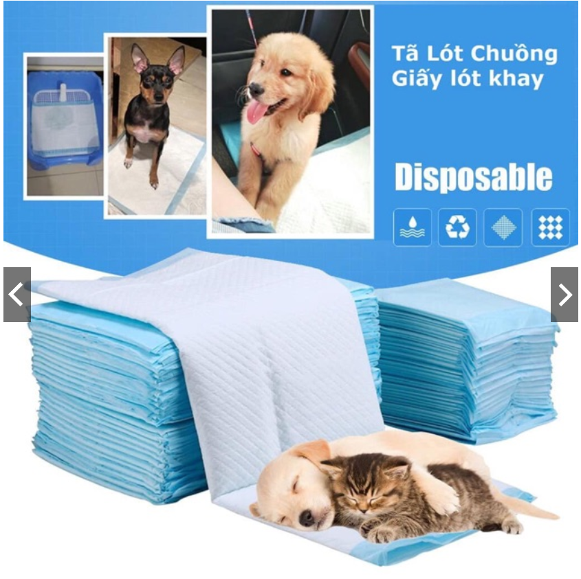 1 miếng Thảm/ Tã Lót Chuồng Vệ Sinh Chó Mèo thú cưng
