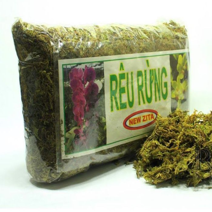 Rêu rừng giá thể trồng phong lan