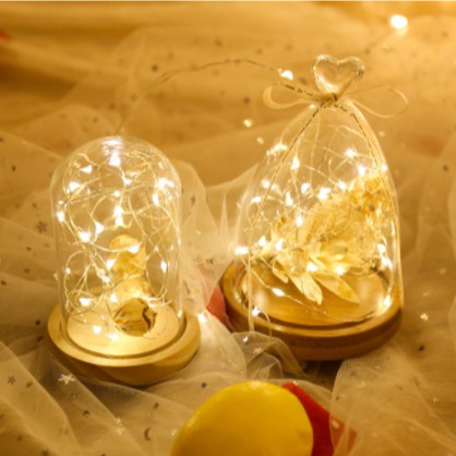 Dây đèn Led dùng Pin AA chống thấm nước trang trí ngoài phòng ngủ fairy light
