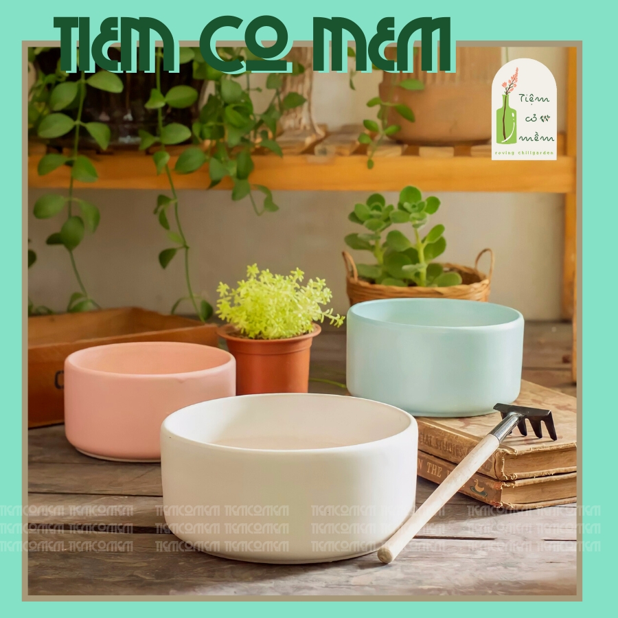 Chậu trồng cây ang trụ 6 màu men pastel, chậu đất nung trồng sen đá, tiemcomem, tiệm cỏ mềm, gốm sứ bát tràng