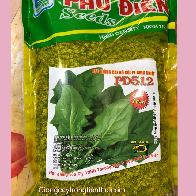 Hạt giống cải bó xôi f1 chịu nhiệt