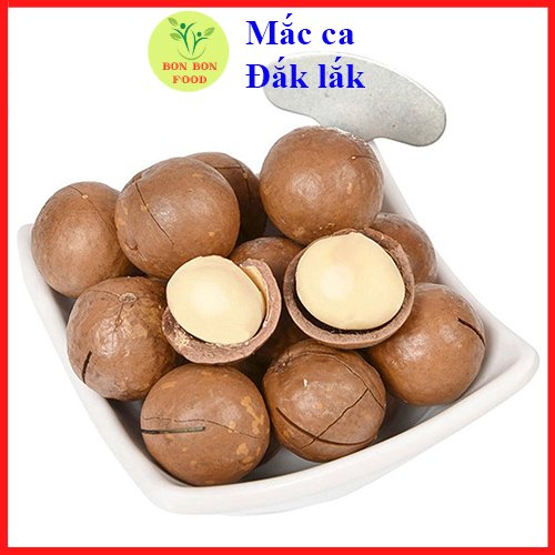 Quả macca đắk lắk 500gr
