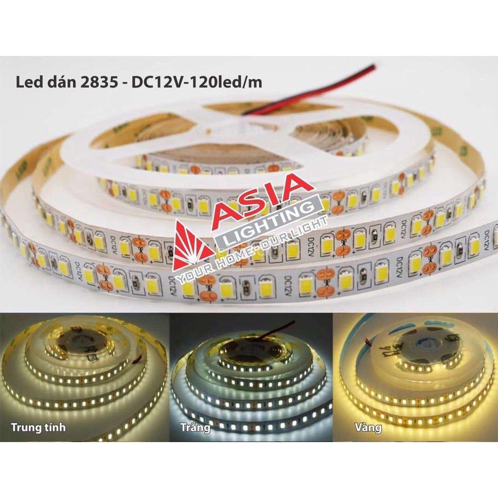 Led dây dán 2835 nguồn 12V siêu sáng ASIA VN- Hàng chính hãng