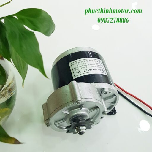 Động cơ 24v250w chổi than