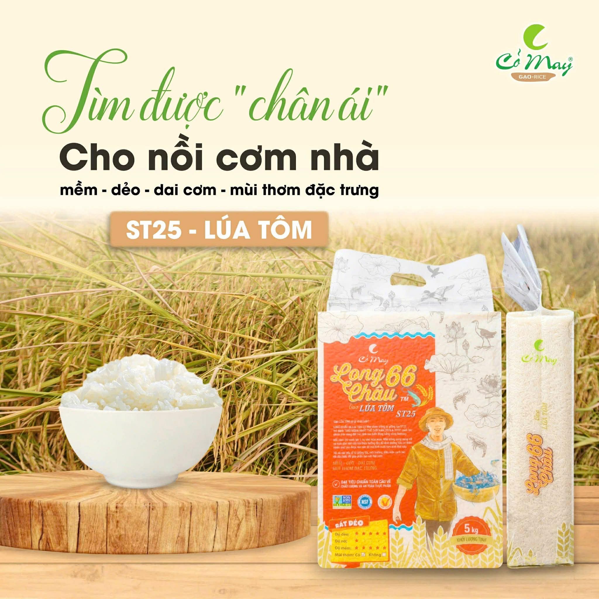 5KG Gạo Lúa Tôm Long Châu ST25 - Thơm Ngon Dẻo Trắng Hạt Thon Dài