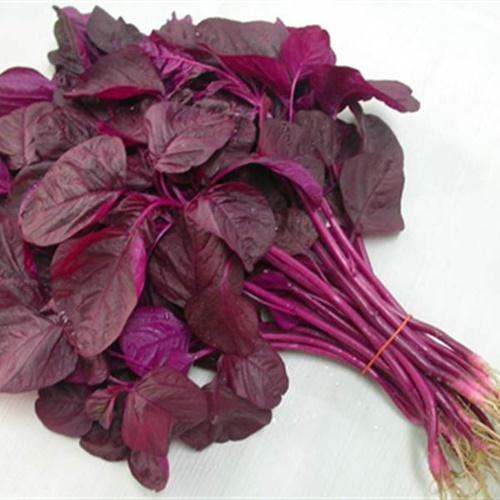 Hạt Giống Rau Dền Đỏ Lá Liễu F1. Túi 20 Gram