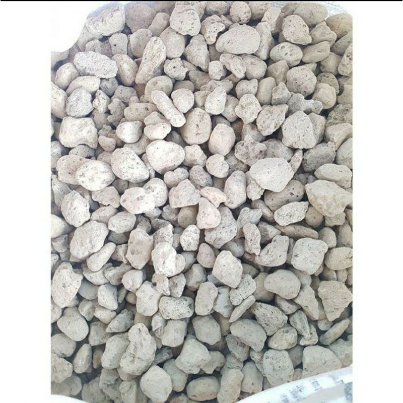 Đá long vũ hàng nhập Indo, nham thạch trắng, vật liệu lọc bể cá, bể thủy sinh 100gram