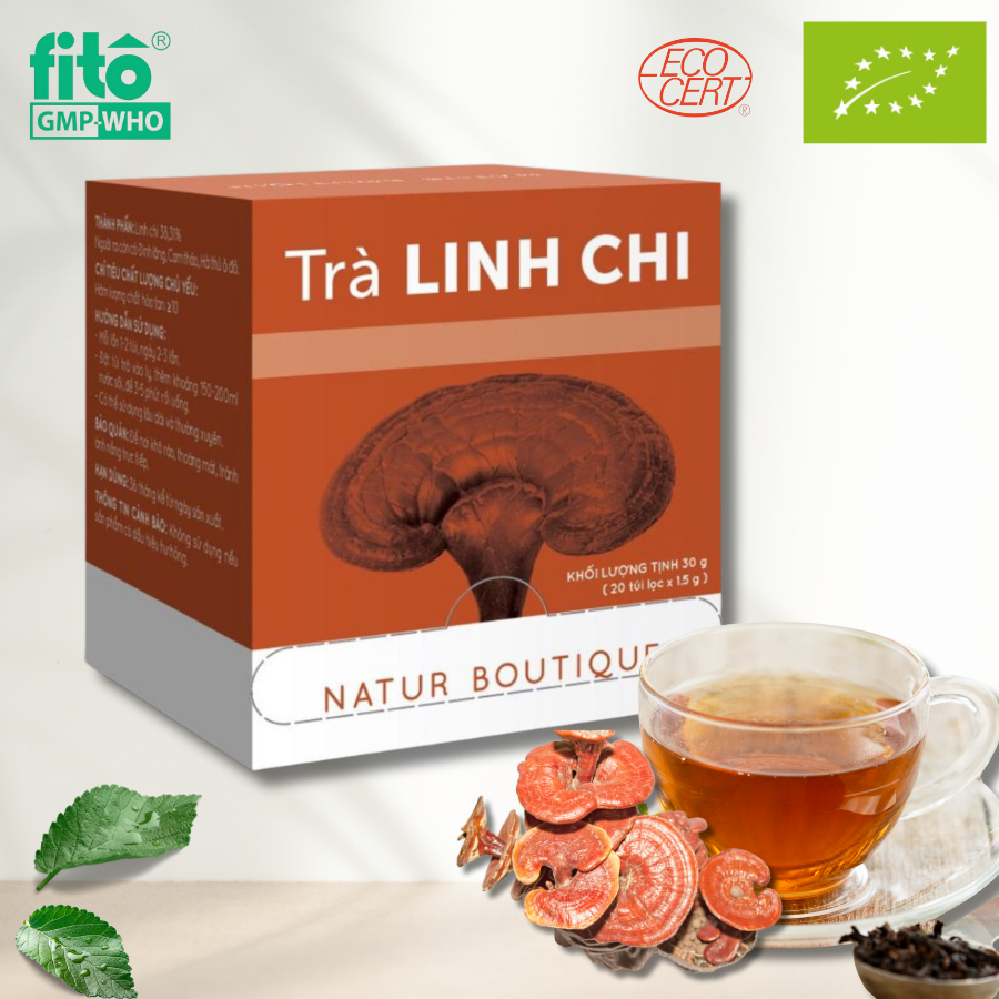 Trà Linh Chi Giảm Cholesterol, tăng đề kháng, dạng 20 túi lọc