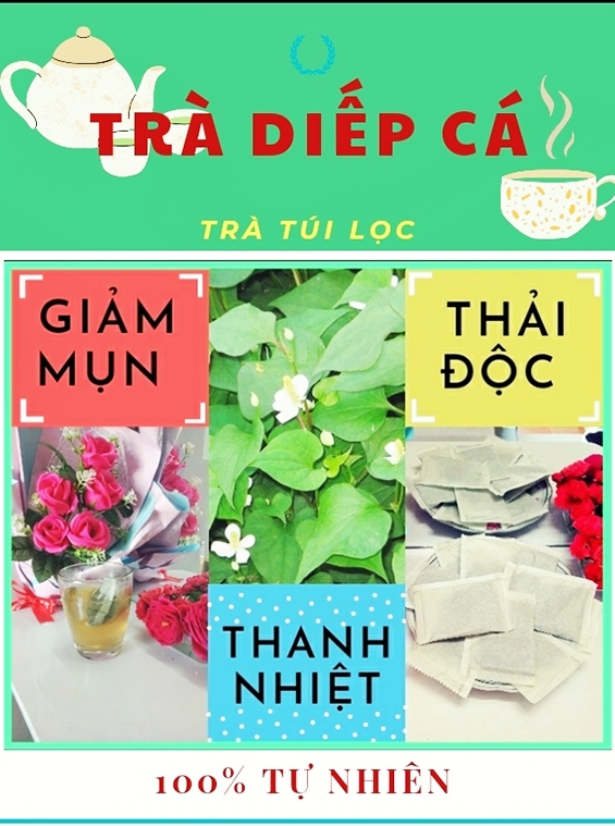 TRÀ DIẾP CÁ Giảm Mụn, Thanh Nhiệt,  40 Túi Lọc, Trà Đông Y Việt