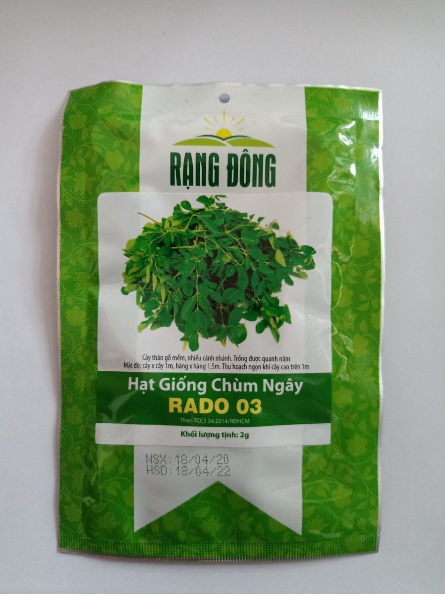 Hạt giống rau chùm ngây Rạng Đông