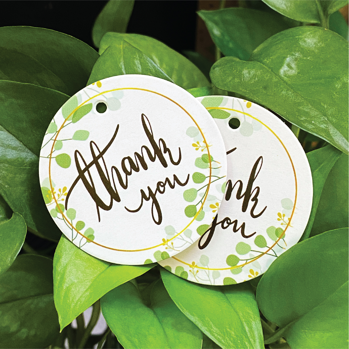 Combo 200 tag tròn Thank you, khung viền họa tiết lá cây