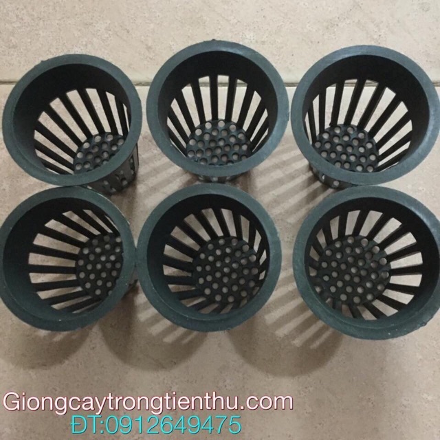 50 rọ trồng rau thủy canh