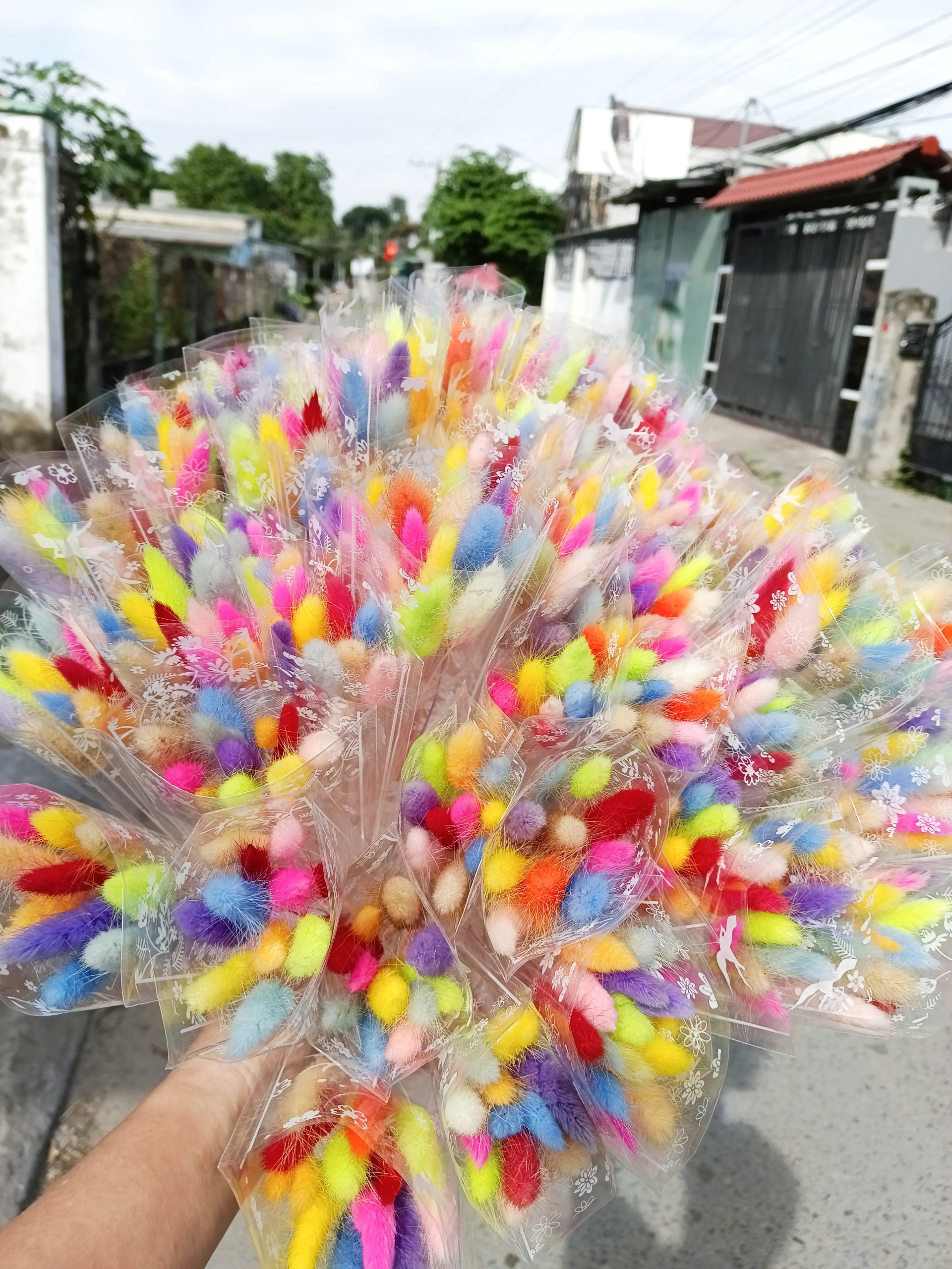 Hoa đuôi thỏ khô mix nhiều màu