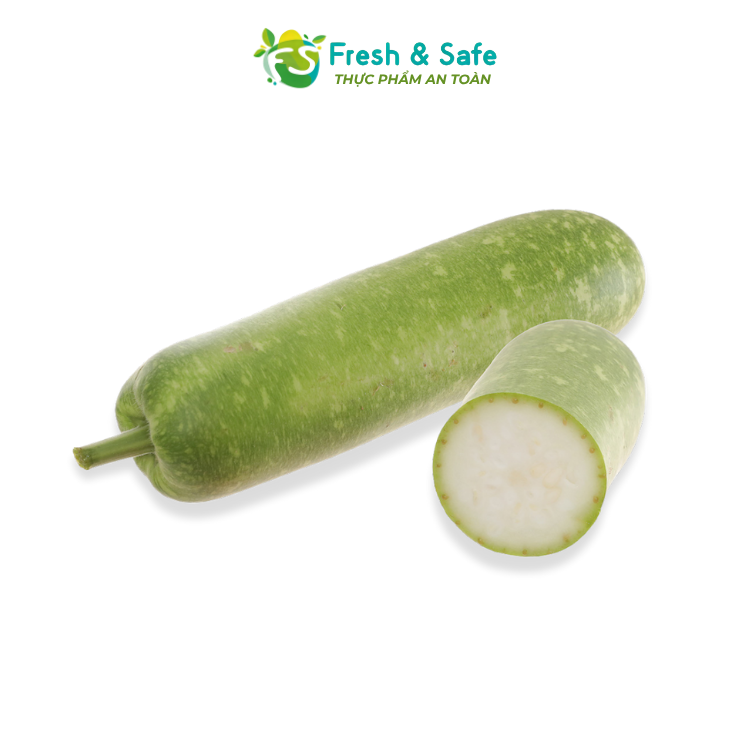 [HOẢ TỐC HCM] Bầu Sao/ Bầu xanh