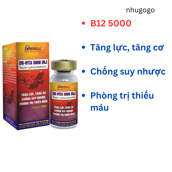 Dr vita 5000 inj 10ml B12 5000 tăng nước máu, tăng cơ, tăng lực cho gà