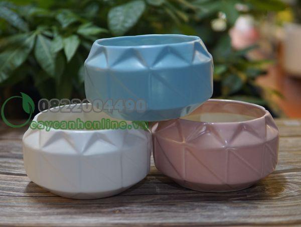 Chậu đa giác xoáy - Chậu cây để bàn - Chậu gốm sứ