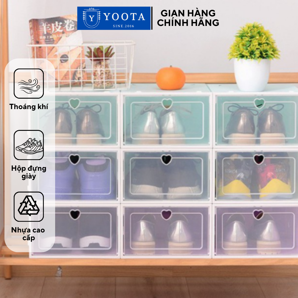 Combo 6 Hộp Đựng Giày ,Có Nắp Nhựa Cứng Trong Suốt Size Lớn Đựng được tất cả giày dép size lớn