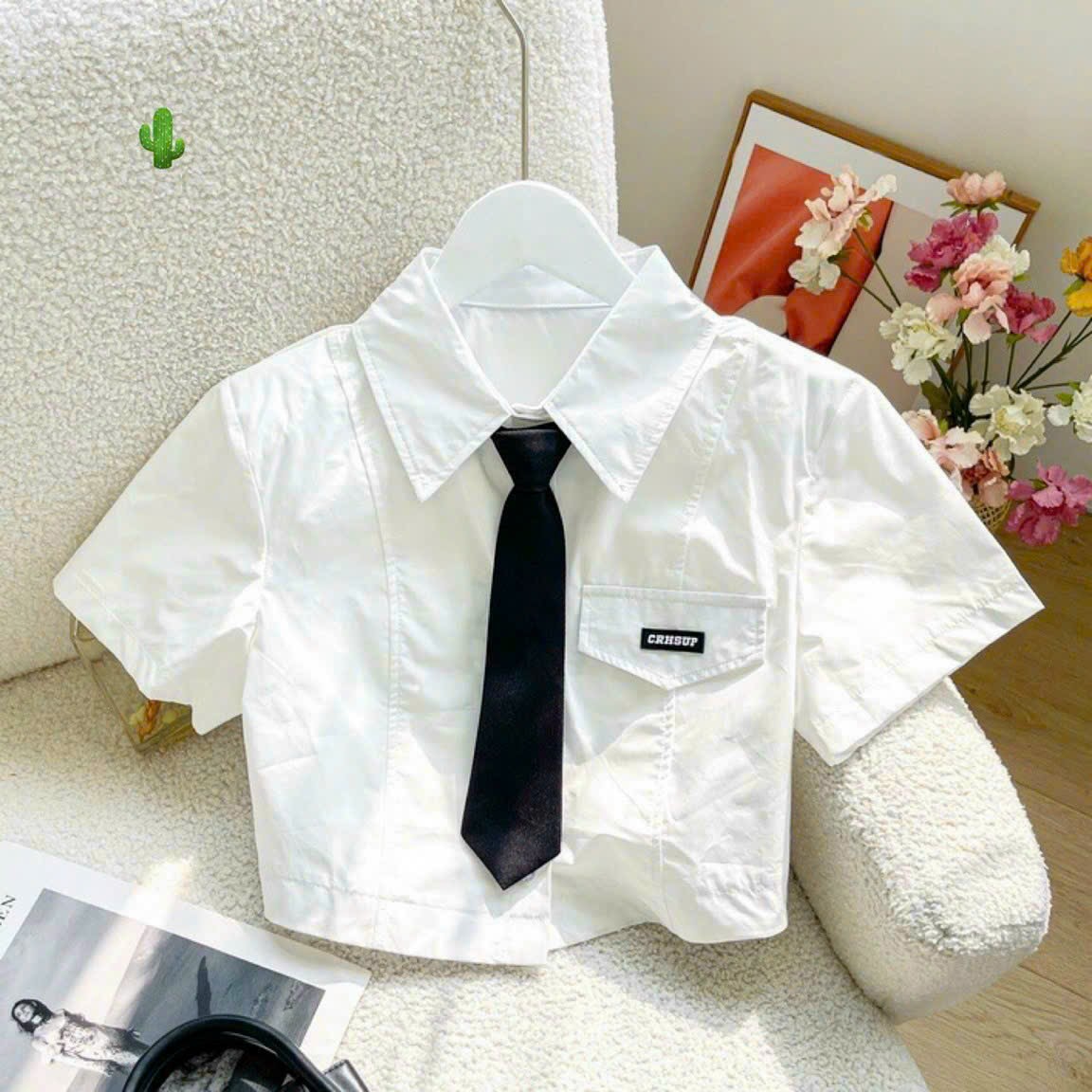 Áo sơ mi ngắn tay phối cavat