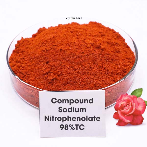 ATONIK 98% - Nguyên Chất Natri Nitrophenolate 98%  Gói 50gr, 100gr, 250gr