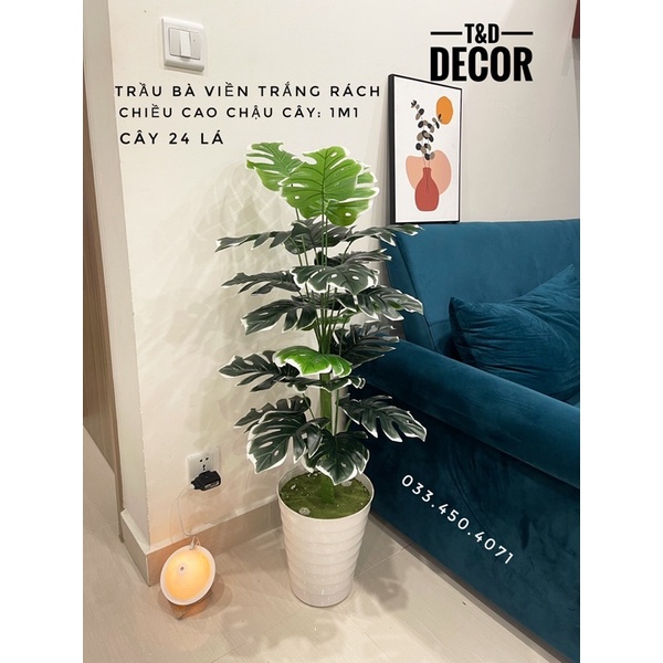 Cây giả, Cây lá rùa monstera cao 1M decor trang trí nhà cửa, homestay, nhà hàng