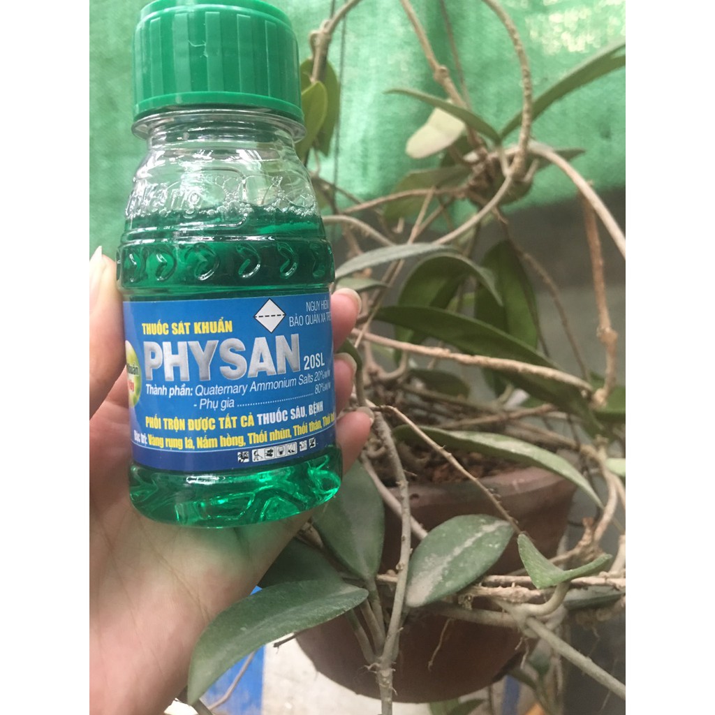 Thuốc đặc trị thối nhũn trên phong lan Physan lọ 100ml, mặt hàng đang được săn đón, chất lượng đảm bảo và cam kết hàng đúng mô tả