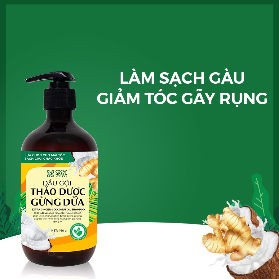 Dầu gội hữu cơ sạch gàu gừng dừa Cocayhoala làm mềm mượt tóc, giảm rụng tóc, phục hồi hư tổn dung tích 440g/chai