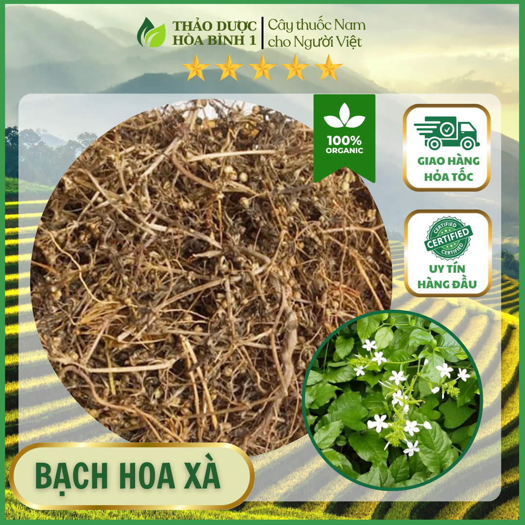 1kg Bạch hoa xà thiệt thảo