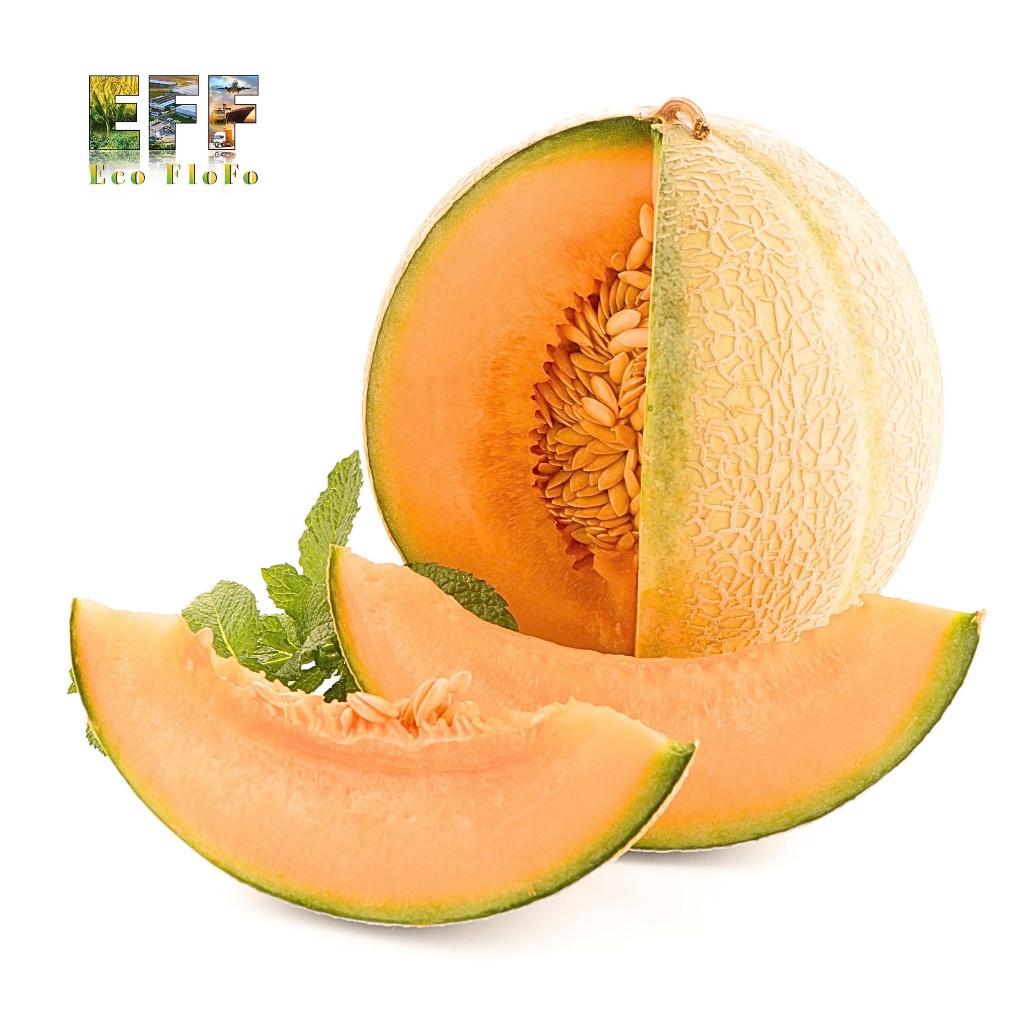 1 Thùng 8Kg Dưa Lưới Eco FloFo Đạt Chuẩn VietGAP (Chỉ Bán Hàng Loại A+ Được Tuyển Chọn Để Xuất Khẩu)
