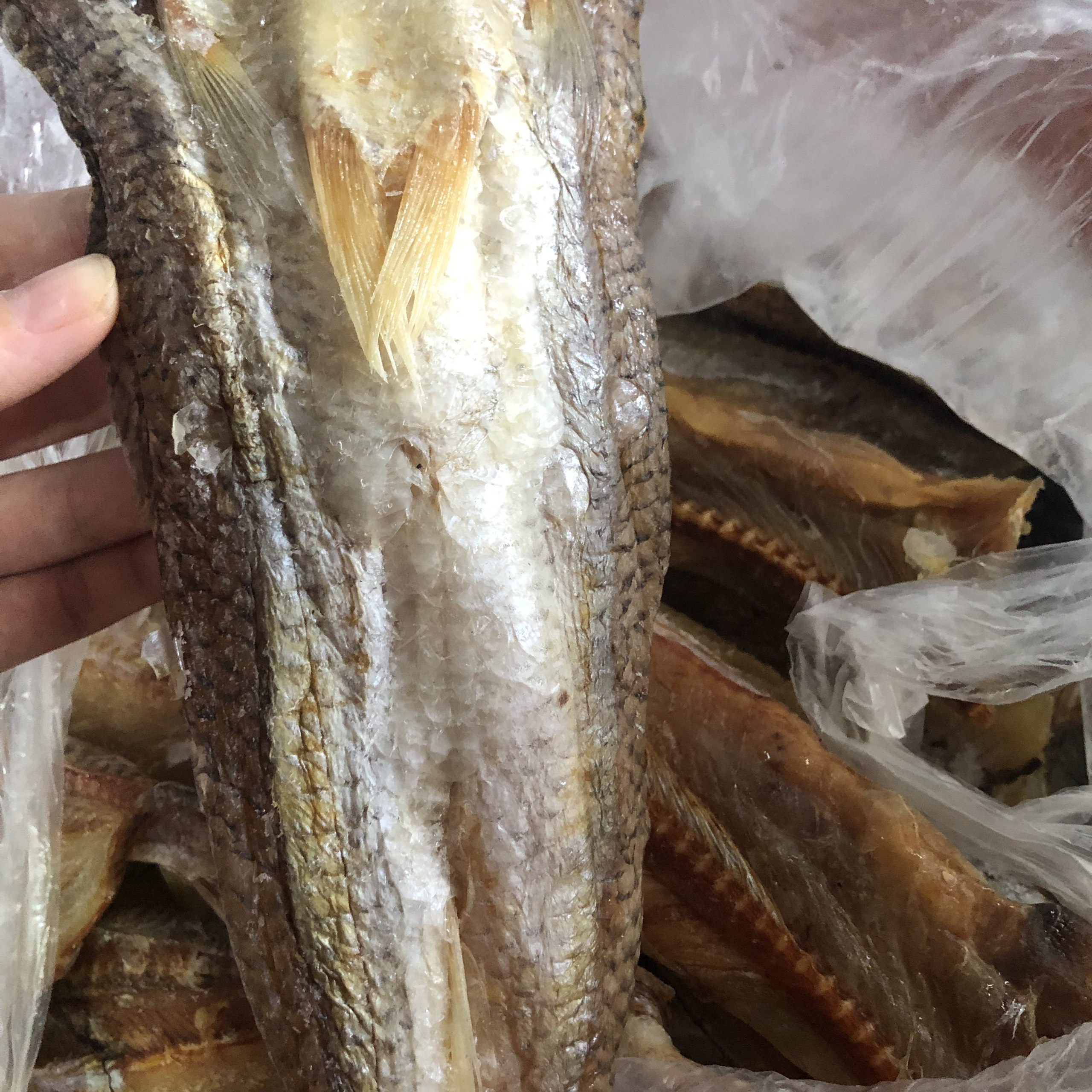 1kg cá mối mặn quảng ninh/ khô cá ngon