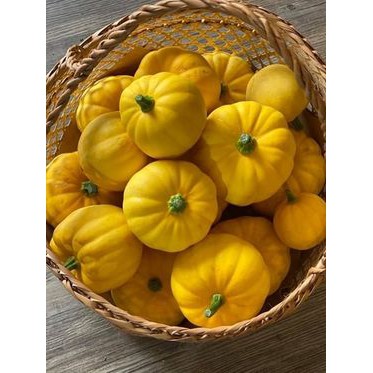 Hạt Giống Bí Ngô Baby Mix Vàng Trắng