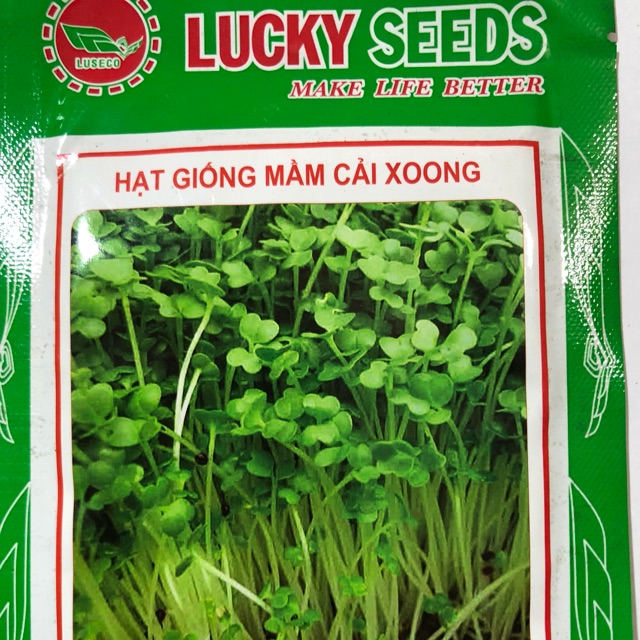 CUNG CẤP HẠT GIỐNG RAU MẦM CẢI XOONG