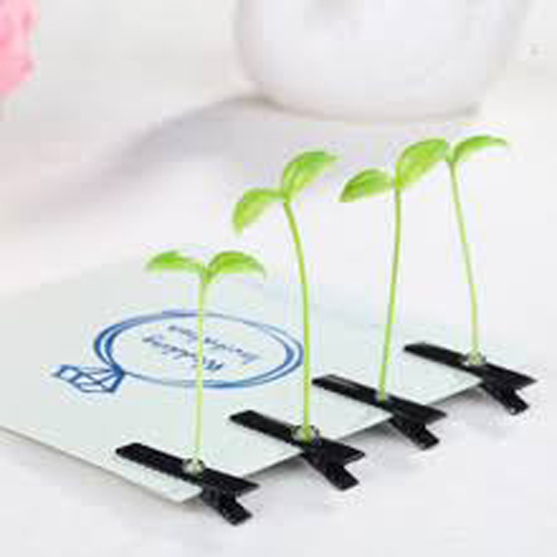 Kẹp tóc mầm cây combo 5 cái