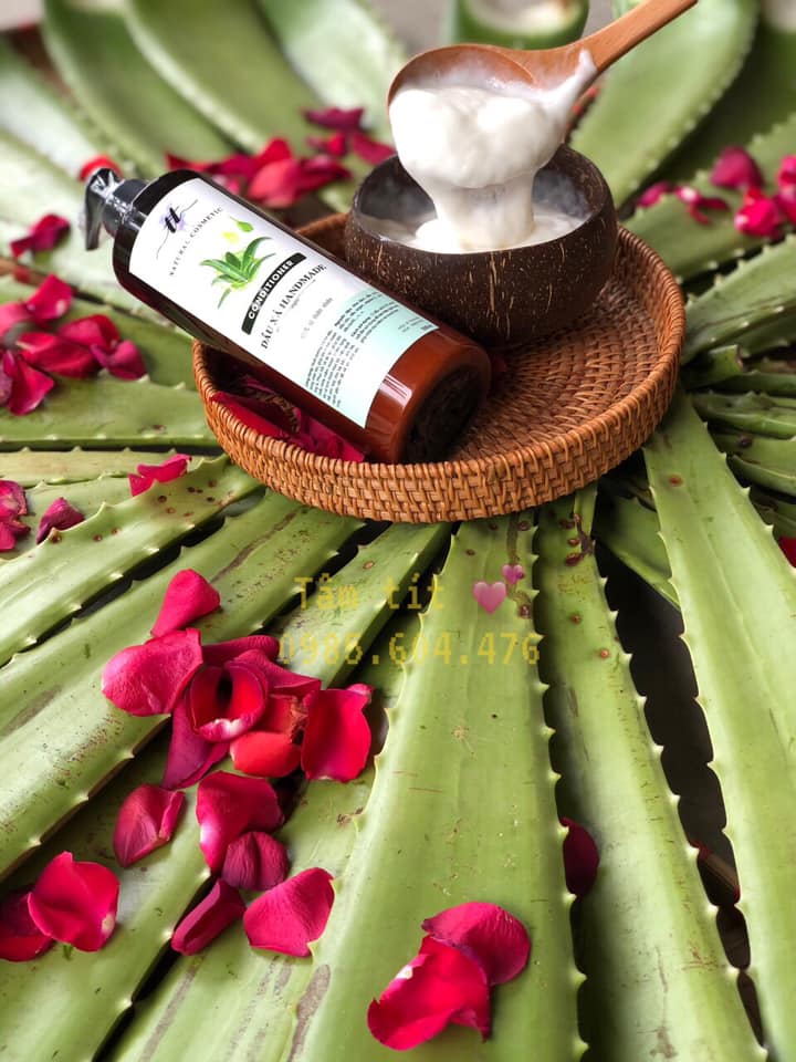 Dầu xả dừa nha đam 500ml - Giúp tóc suôn mượt và chắc khỏe