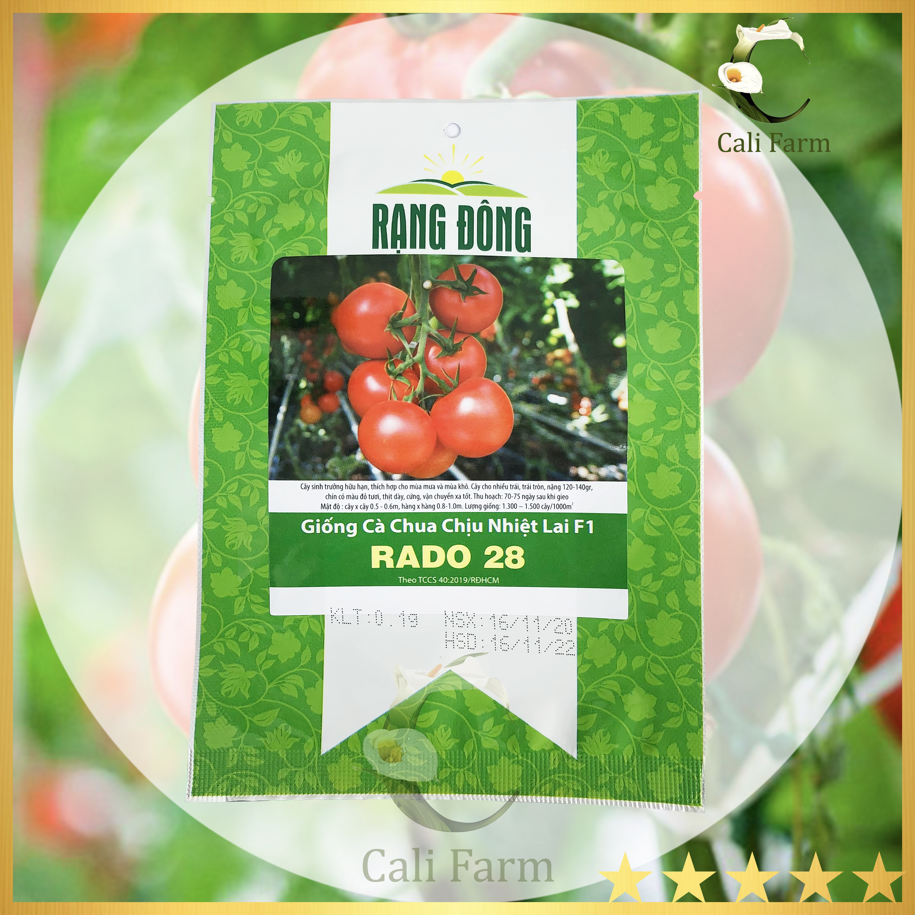 Hạt giống cà chua chịu nhiệt rado 28 sai quả