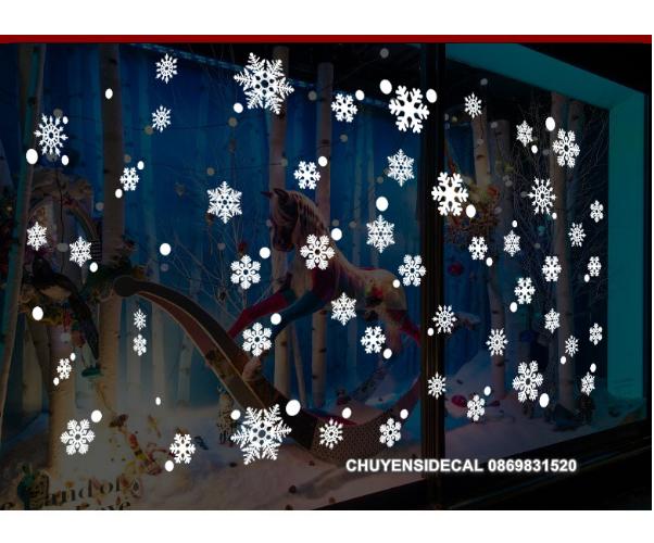 [HCM]Decal dán tường Noel - Hoa Tuyết Rời Trắng 03
