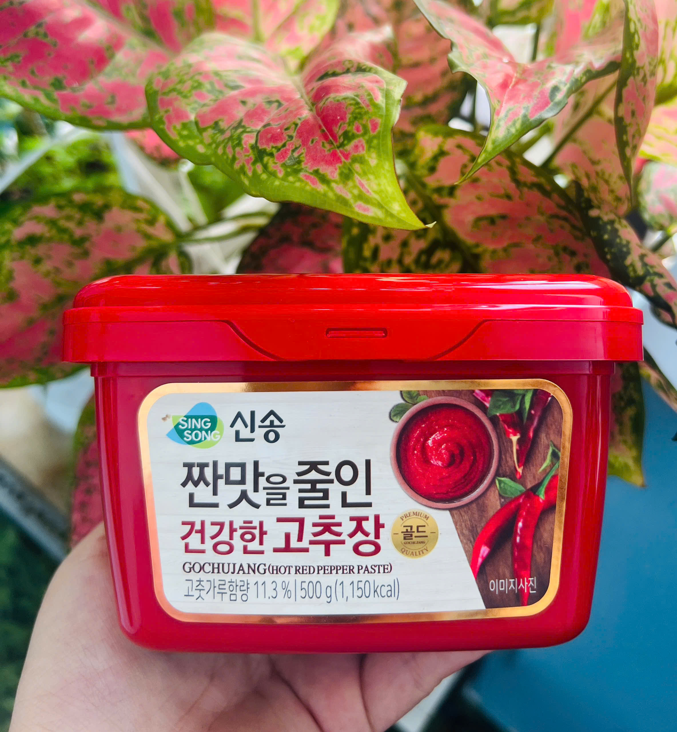 Tương ớt gochujang hàn quốc hộp 500g_monhi_food